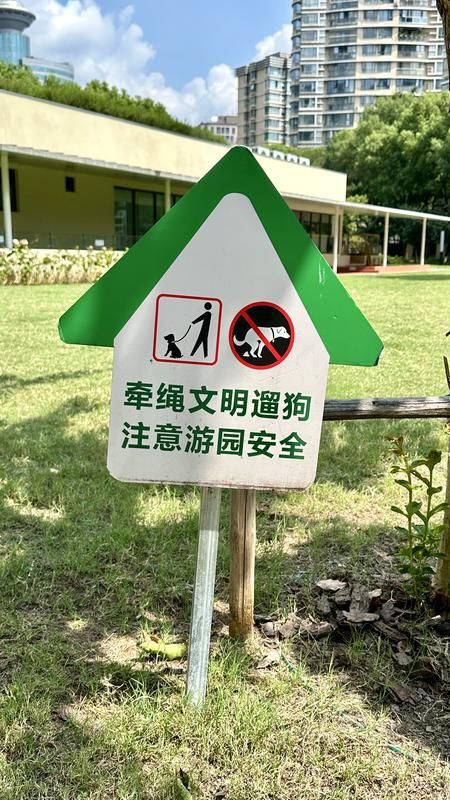 规施行一周上海升级版游园带来哪些“乐与痛”？新葡京娱乐场app事关搭帐篷、带宠物……新(图8)