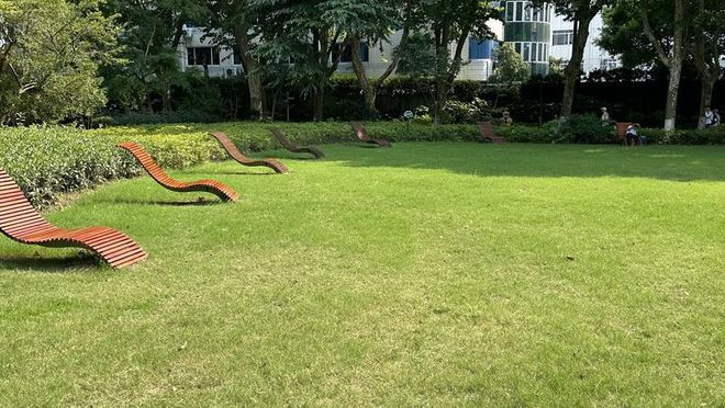 规施行一周上海升级版游园带来哪些“乐与痛”？新葡京娱乐场app事关搭帐篷、带宠物……新(图2)