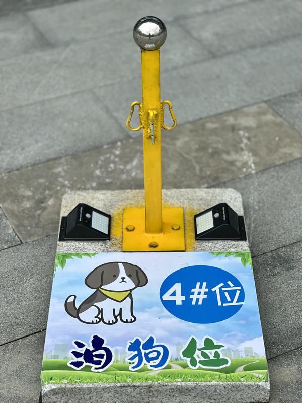 规施行一周上海升级版游园带来哪些“乐与痛”？新葡京娱乐场app事关搭帐篷、带宠物……新(图1)