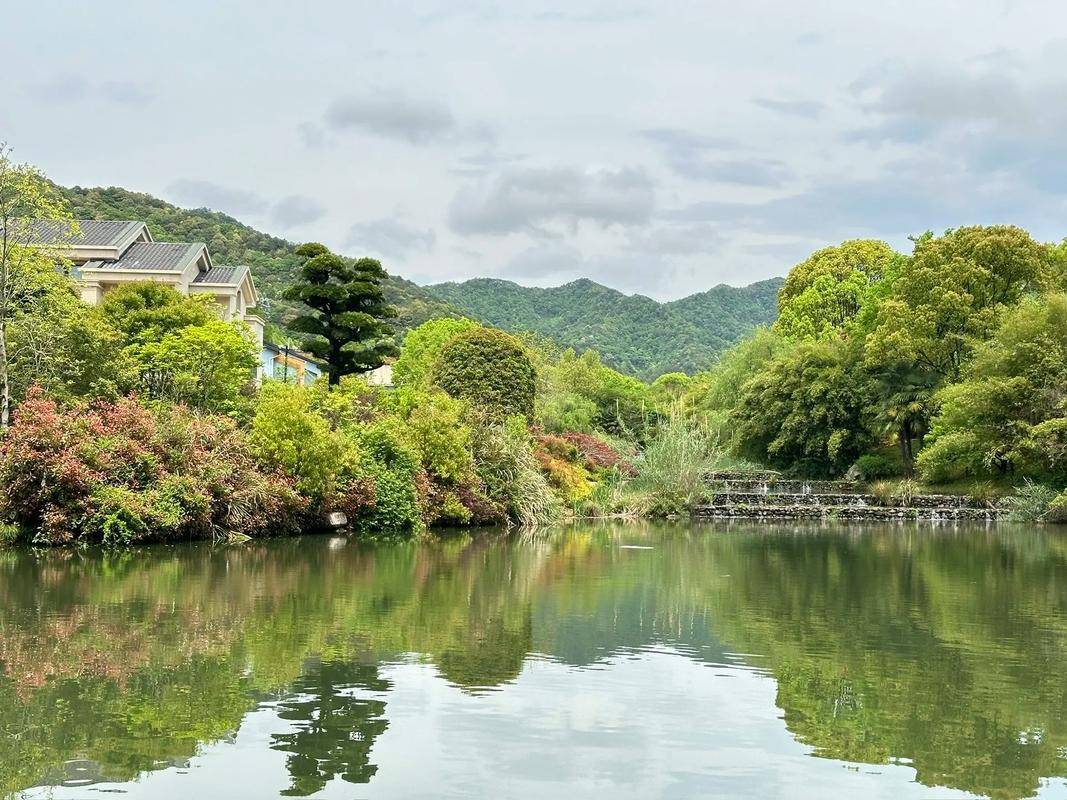 报告』黄南博物馆参观指南新葡京博彩202