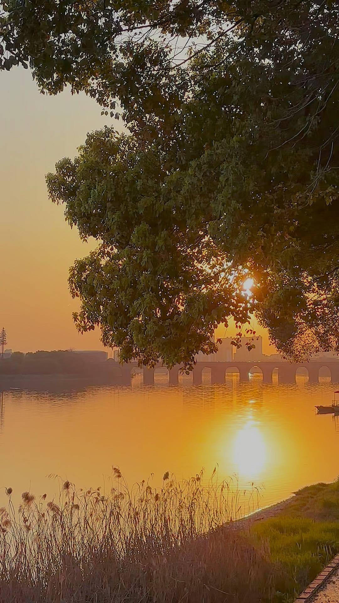 报告』黄南博物馆参观指南新葡京博彩2026研究(图2)